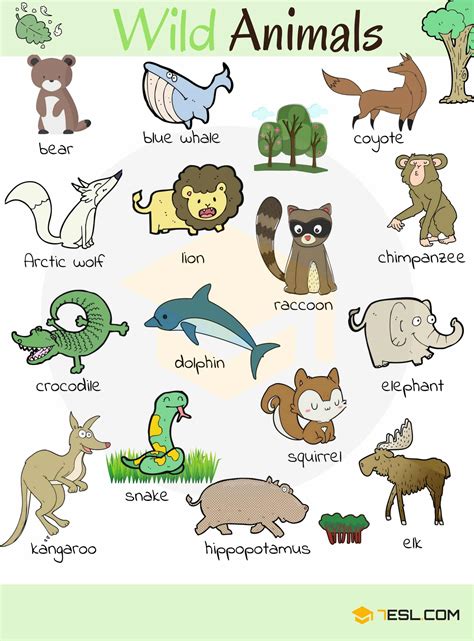 animals list.